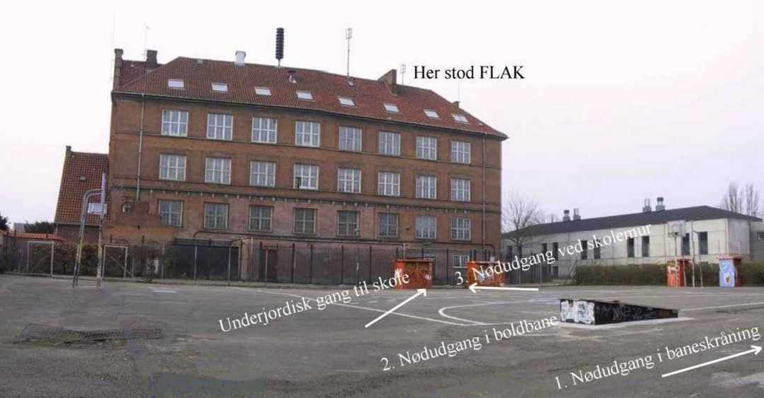 Dines Bogø